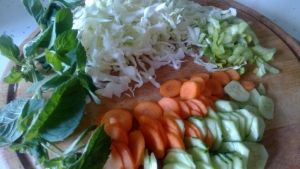 Готовим овощи – капусту шинкуем, огурец и морковь нарезаем кружочками, сельдерей маленькими дольками.